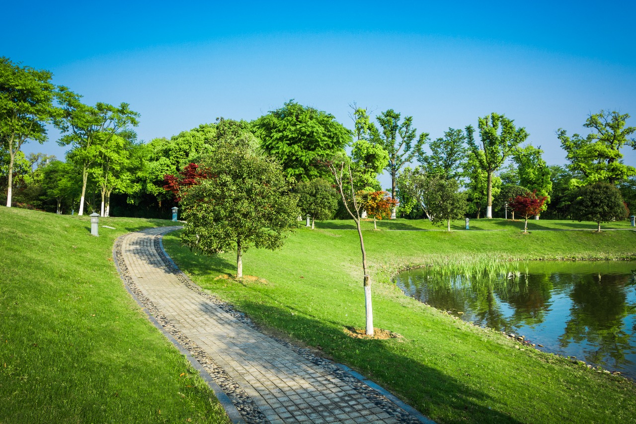 Lush Green Parks